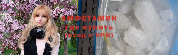 прущие грибы Абаза