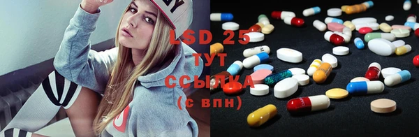 прущие грибы Абаза