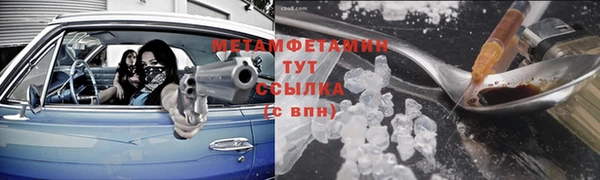 прущие грибы Абаза