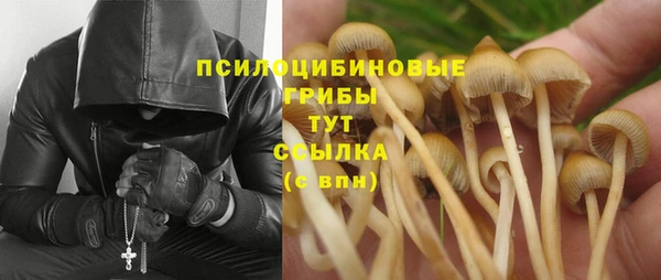 гидропоника Алексин