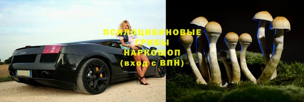 хмурый Алзамай