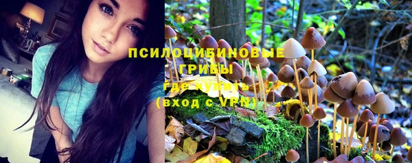 гидропоника Алексин