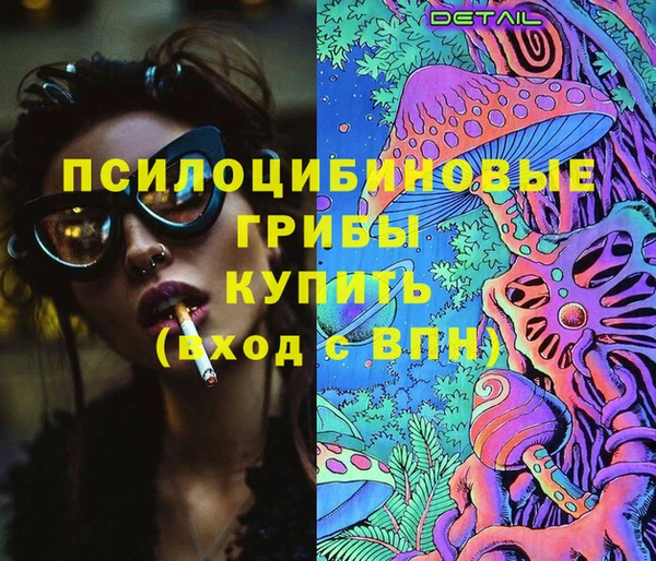 прущие грибы Абаза