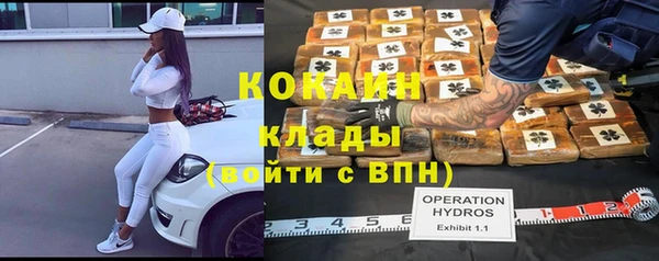 хмурый Алзамай