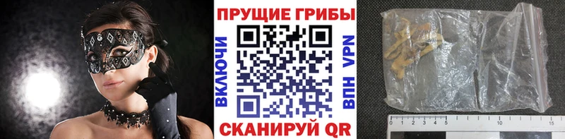 Галлюциногенные грибы GOLDEN TEACHER  купить закладку  Монино 